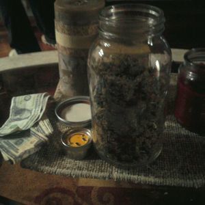 Meet your Posher, Dominick